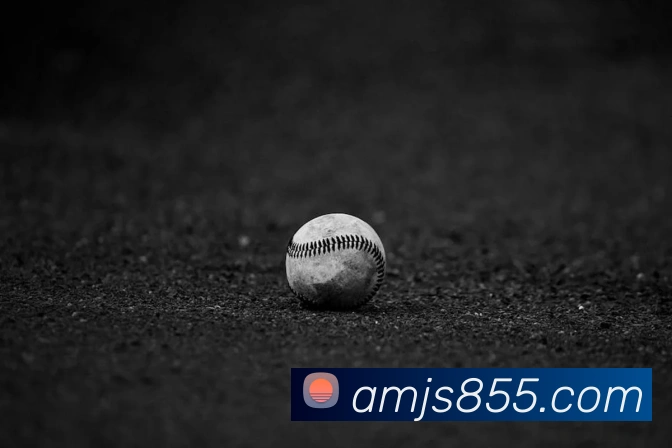 企业概况